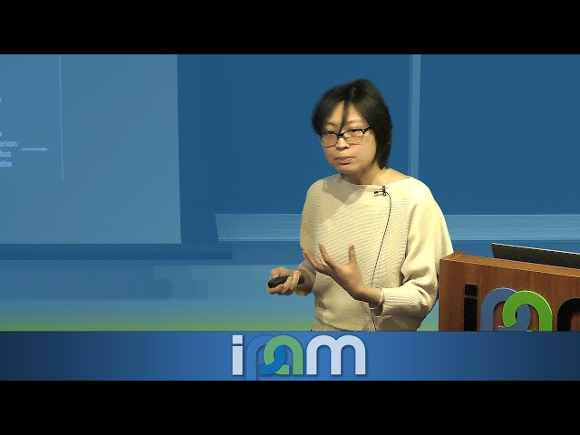 Heat and Tracer Transport in the Subsurface Ocean of Icy Satellites