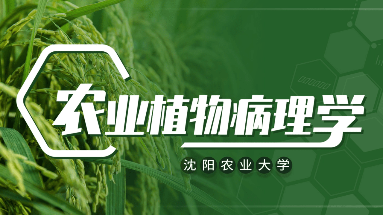 农业植物病理学