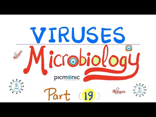 Virology - DNA Viruses - HSV, VZV, EBV, CMV, Mononucleosis - Part 19