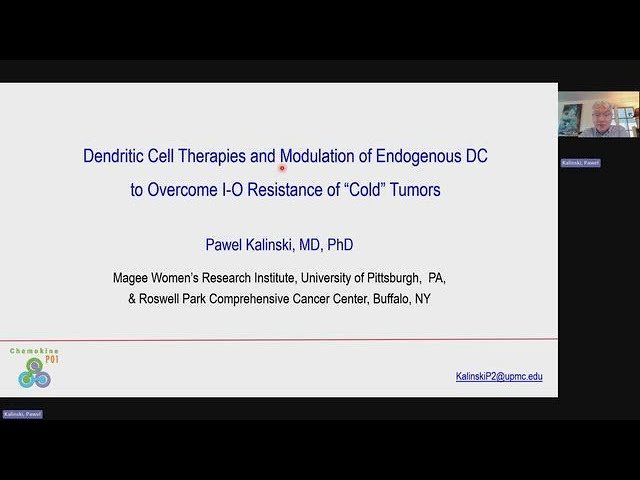 Dendritic Cell Therapies and Modulation of Endogenous DC to Overcome I-O Resistance of "Cold" Tumors