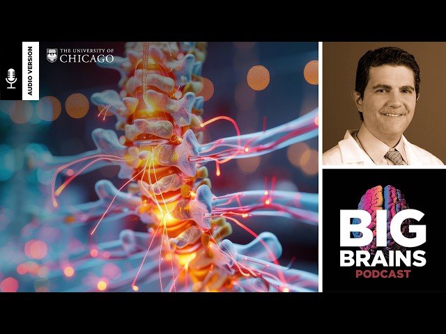 Remarkable New Treatments for Spinal Cord Injuries