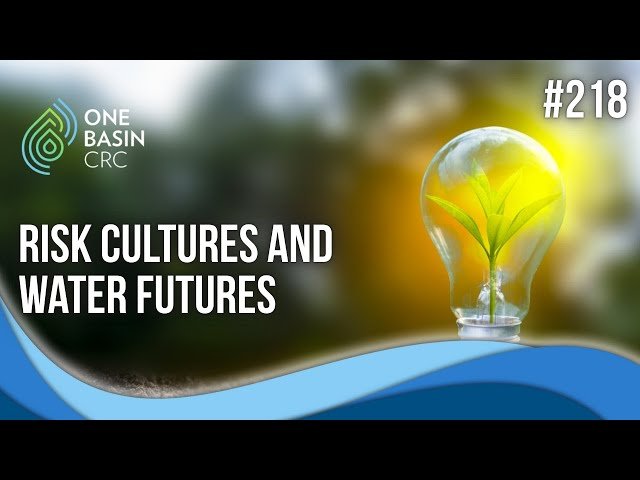 Risk Cultures and Water Futures