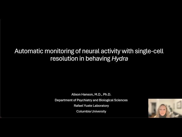 Automatic Monitoring of Neural Activity with Single-Cell Resolution in Behaving Hydra