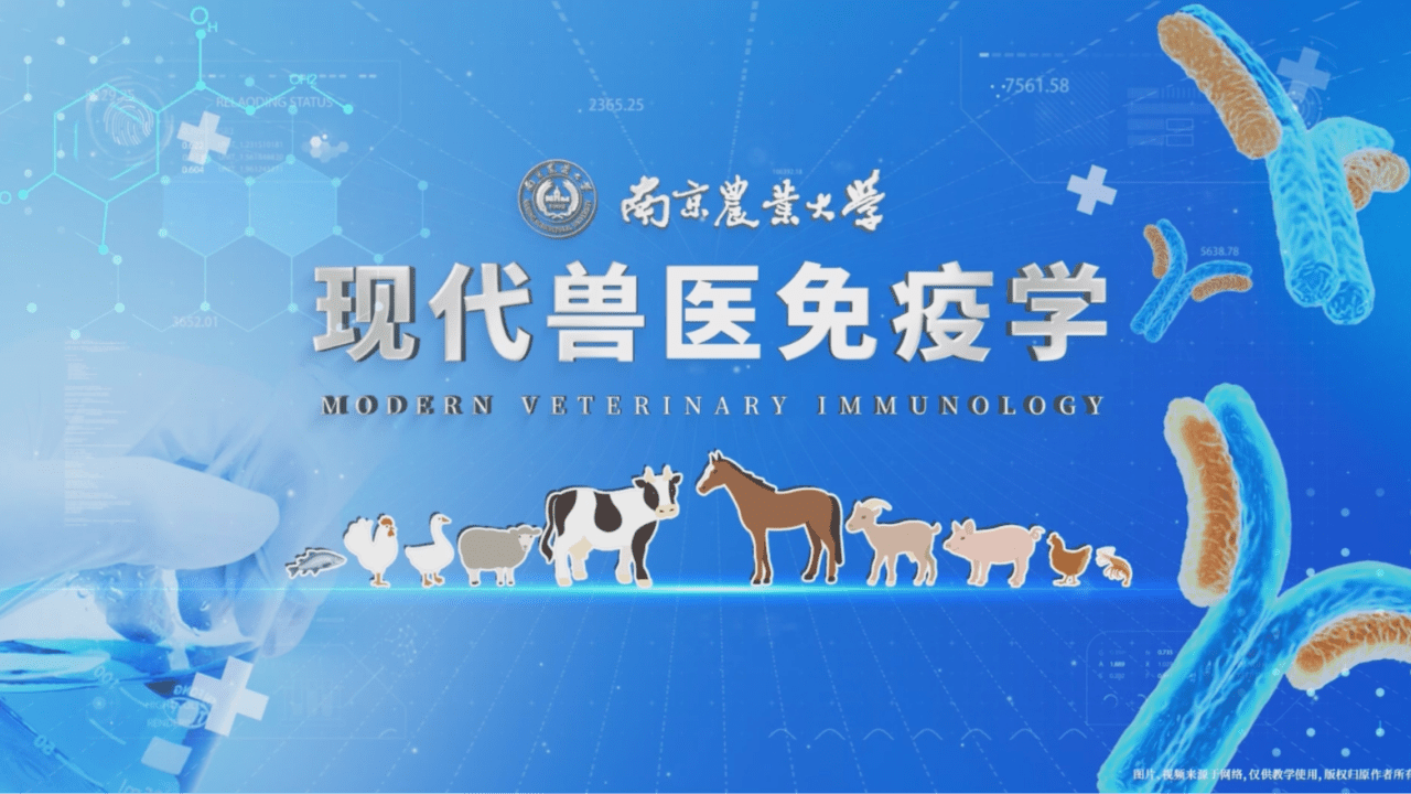现代兽医免疫学