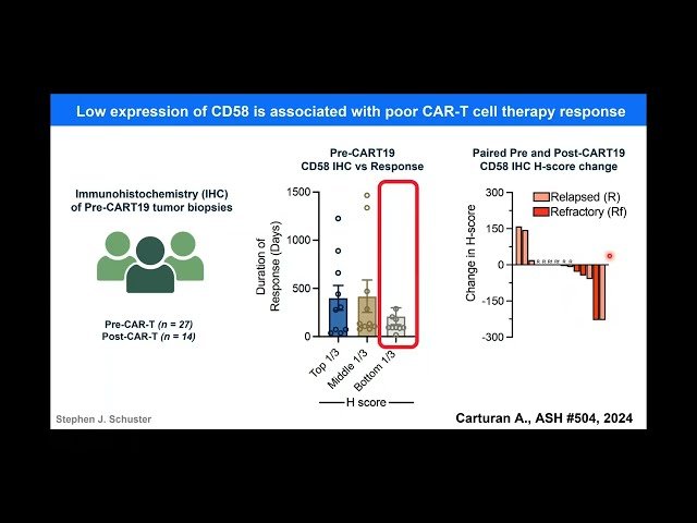 Outsmarting the Escape Artist - Resistance in CAR-T Cell Therapy for Hematologic Cancers