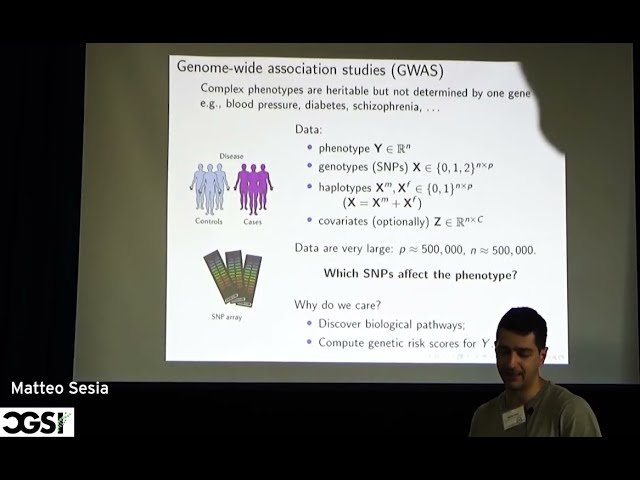 Model-X Statistical Inference for GWAS Data