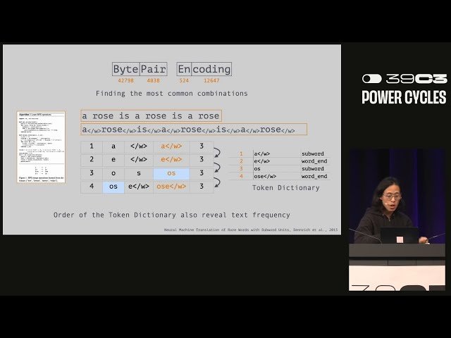 51 Ways to Spell the Image Giraffe - The Hidden Politics of Token Languages in Generative AI