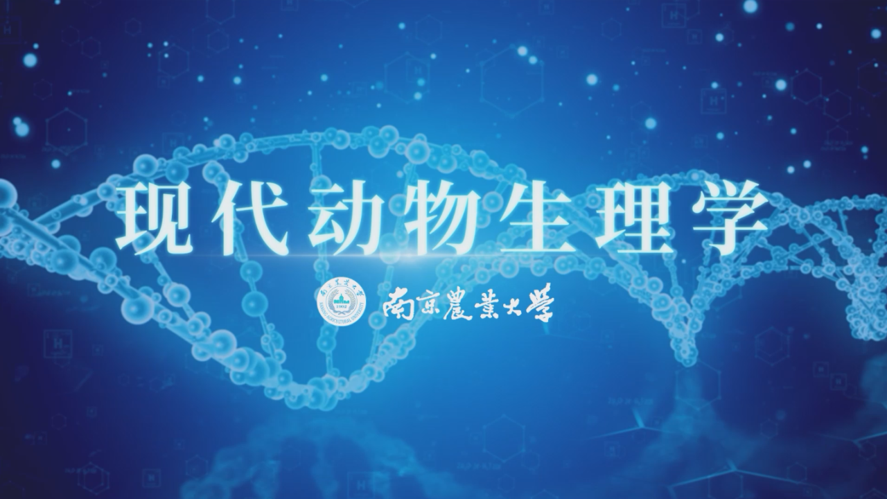 现代动物生理学