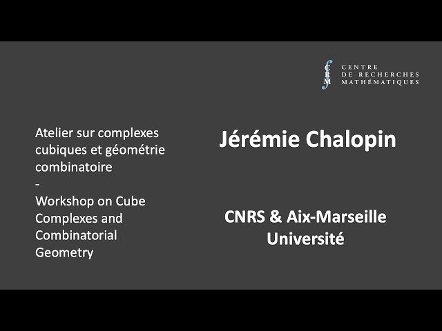 Graphs with Convex Balls: Characterization and Applications - Workshop Lecture