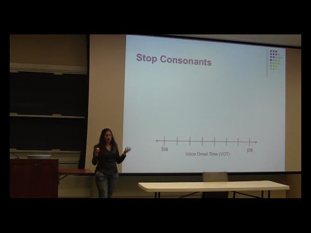 Modeling Consonant and Vowel Perception in Human Listeners