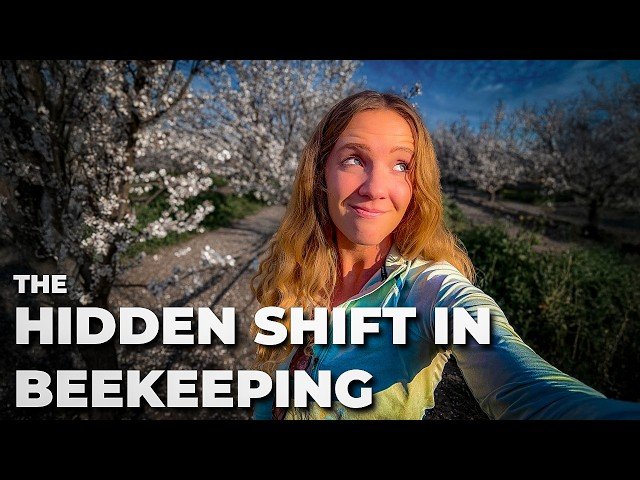 Why Beekeeping Is No Longer Just About Bees - And Who's Controlling the Risk