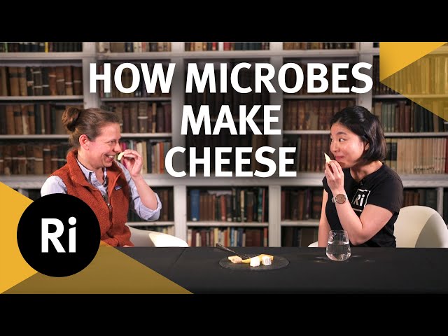 The Science of Cheese
