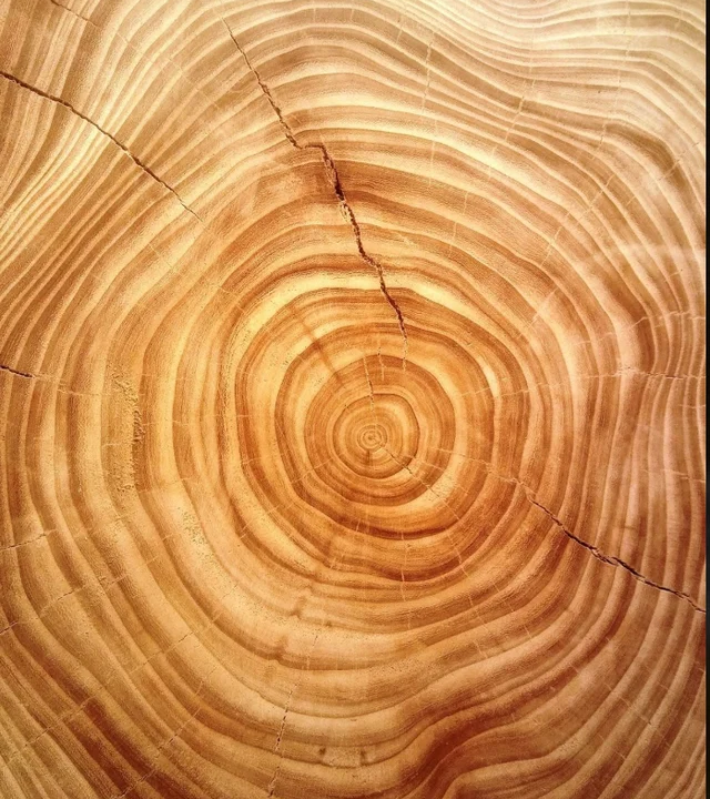 Three Woods, One Sunday: Sandalwood (Live Online)