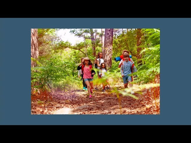 How Learning Creates Peace