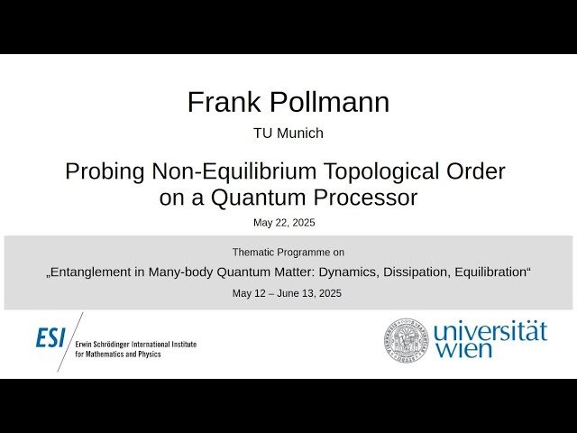 Probing Non-Equilibrium Topological Order on a Quantum Processor