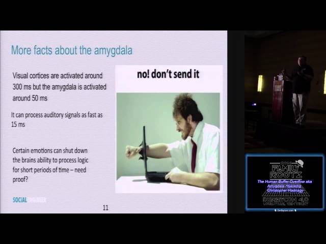 The Human Buffer Overflow aka Amygdala Hijacking