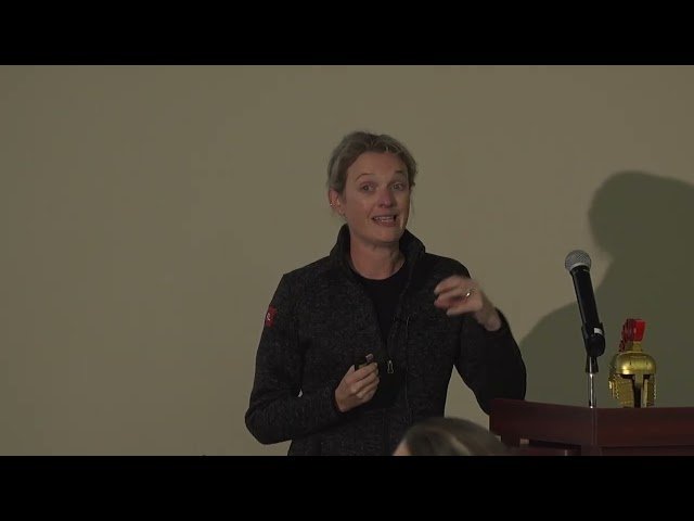 Curating Secure Software - The Art of Selecting Safe Dependencies