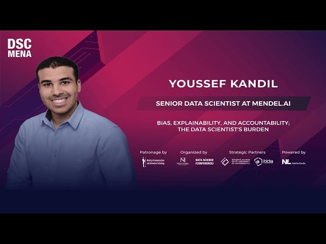 Bias, Explainability, and Accountability - The Data Scientist's Burden