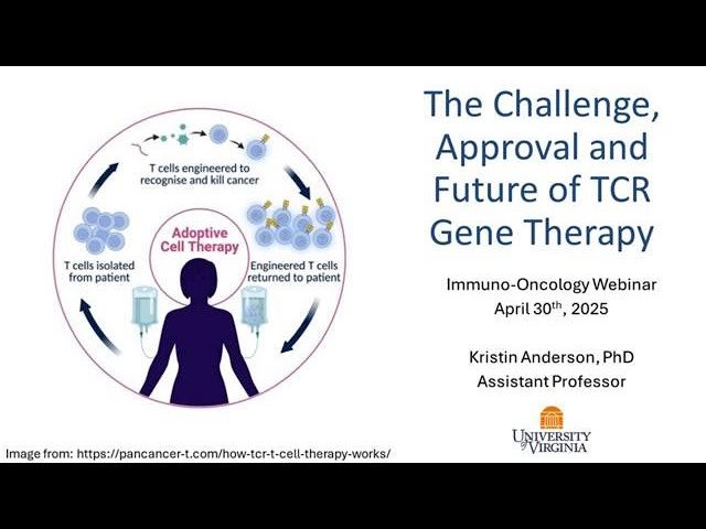 The Challenge, Approval and Future of TCR T Cell Therapy