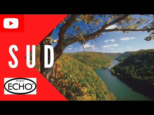 Substance Use, Custody, and Neglect - Clarifying West Virginia's Legal Standard