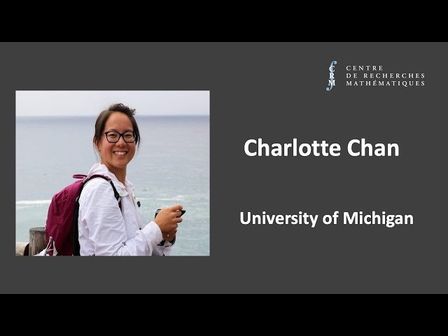 Perverse Sheaves and Representations of p-adic Groups