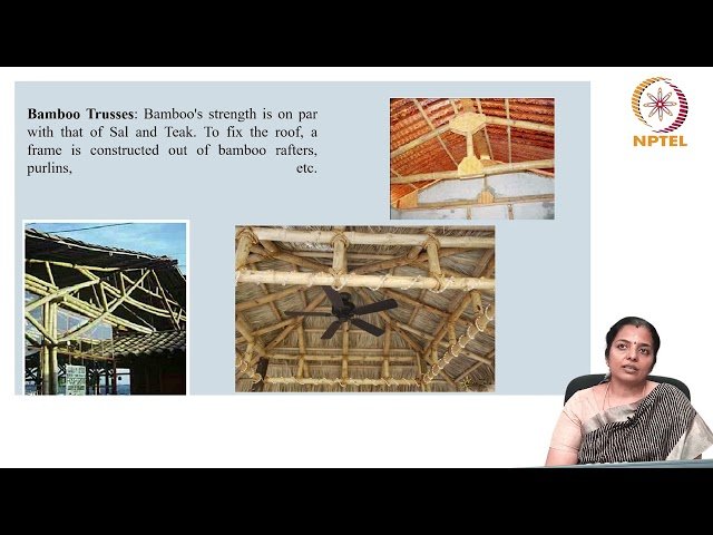 Bamboo: Characteristics, Properties, and Applications in Construction