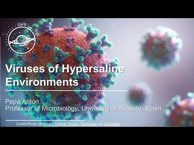 Viruses of Hypersaline Environments