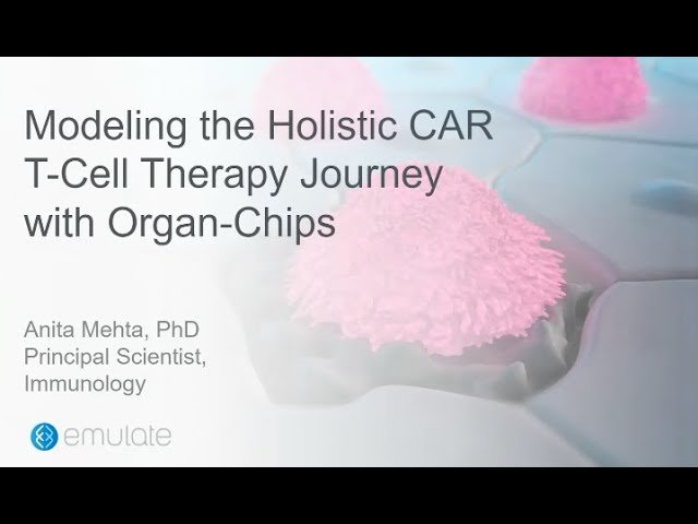 Modeling the Holistic Journey of Solid Tumor Cell Therapy with Organ-Chips