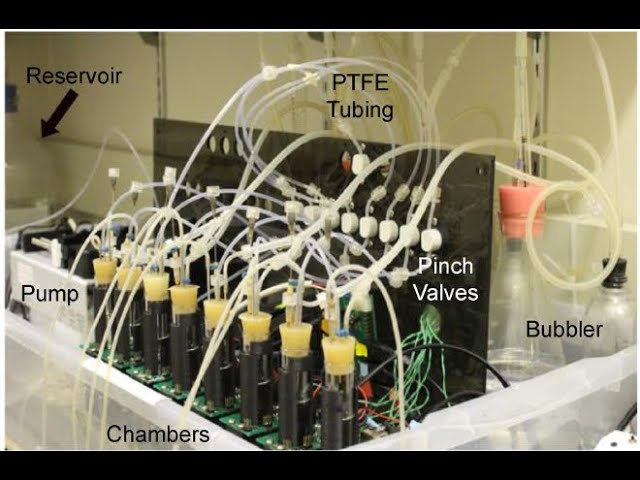 Towards Quantitative Microbial Biology