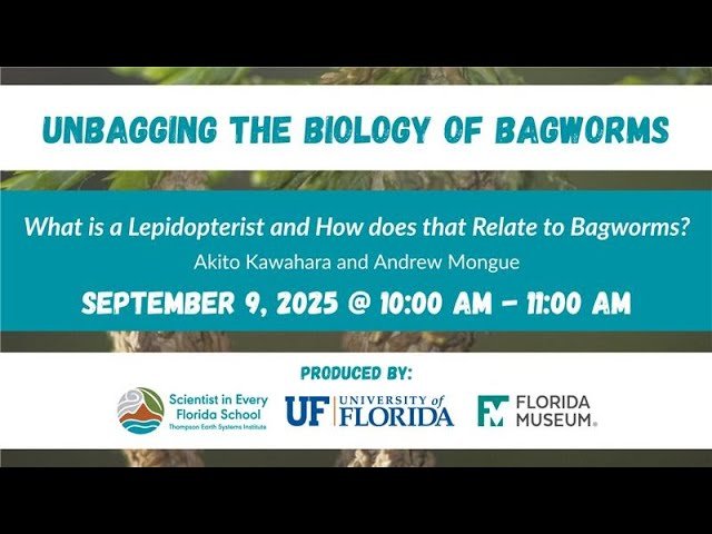 Unbagging the Biology of Bagworms - What is a Lepidopterist and How Does That Relate to Bagworms?