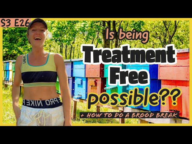 Treatment-Free Beekeeping - Managing Varroa Mites Without Chemicals