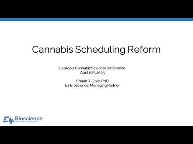Cannabis Scheduling Reform in 2025