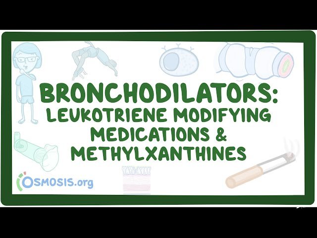 Bronchodilators: Leukotriene Antagonists and Methylxanthines