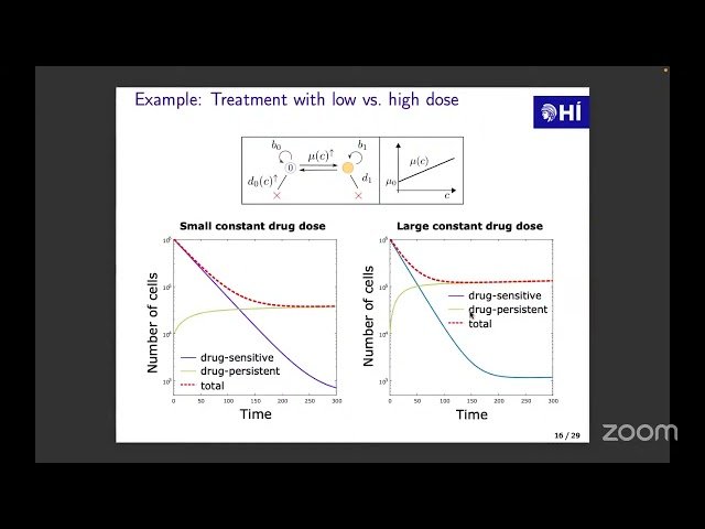 Optimal Dosing of Anti-Cancer Treatment Under Drug-Induced Plasticity