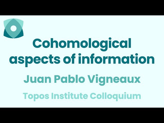 Cohomological Aspects of Information