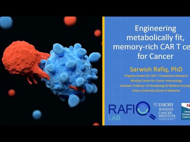 Engineering Metabolically Fit, Memory-Rich CAR T Cells for Treatment of Cancer