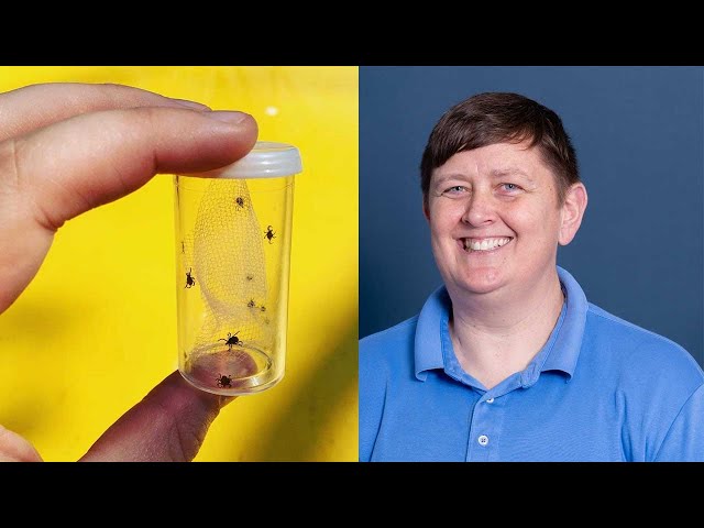 The Challenging and Complex Ecology of Ticks