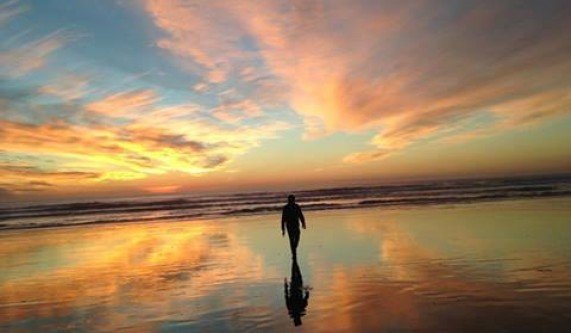 Online Course Chi Longation Live Online From CourseHorse Class Central