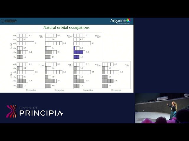 Evolution of Shapes and Symmetries Along Isotopic Chains in Neutron Rich Nuclei