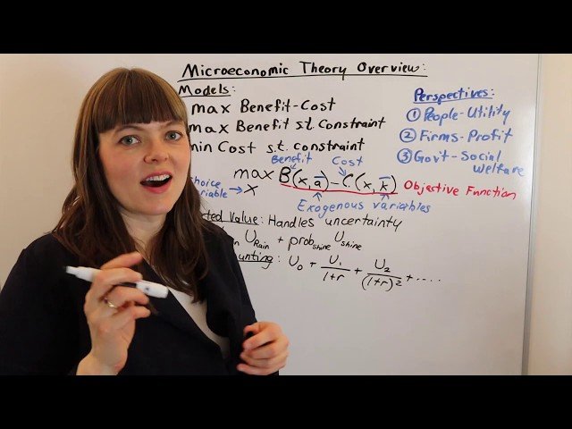 Microeconomic Theory Overview