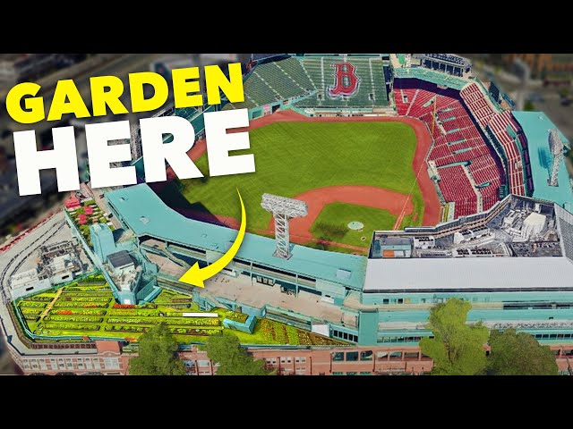 This Stadium Has a Secret Sky Garden on the Roof