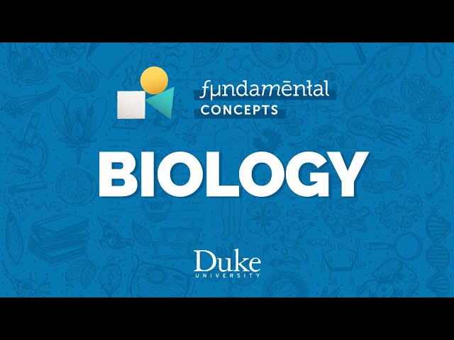 Fundamental Concepts - Biology