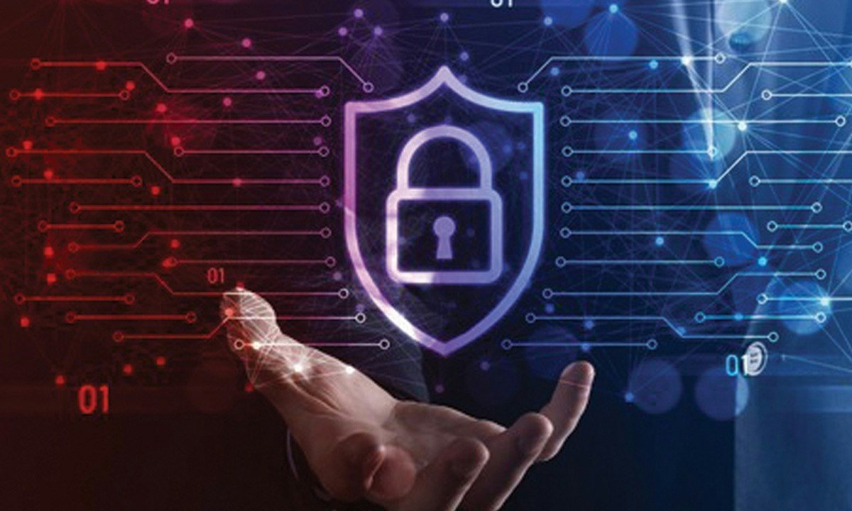 Cyber Security: Data Security and Information Privacy