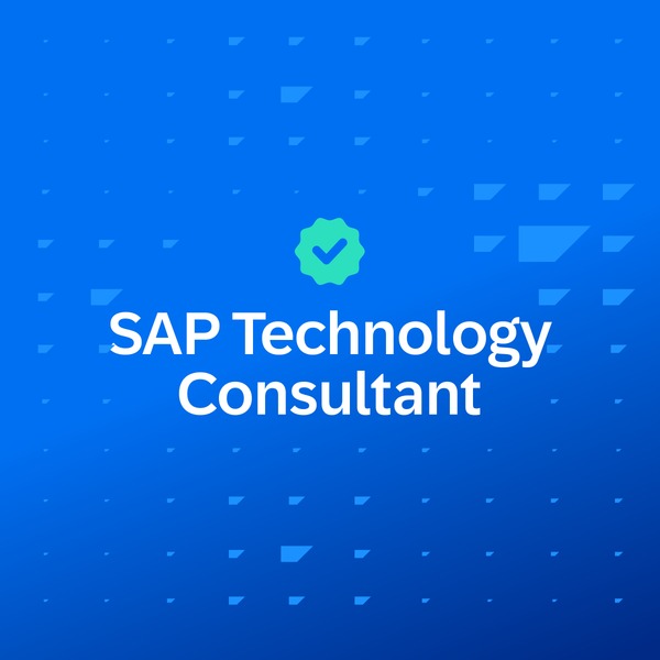 SAP Technology Consultant 