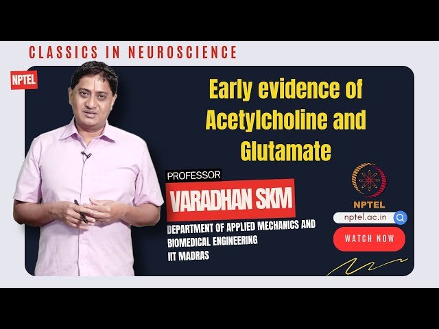 Early Evidence of Acetylcholine and Glutamate