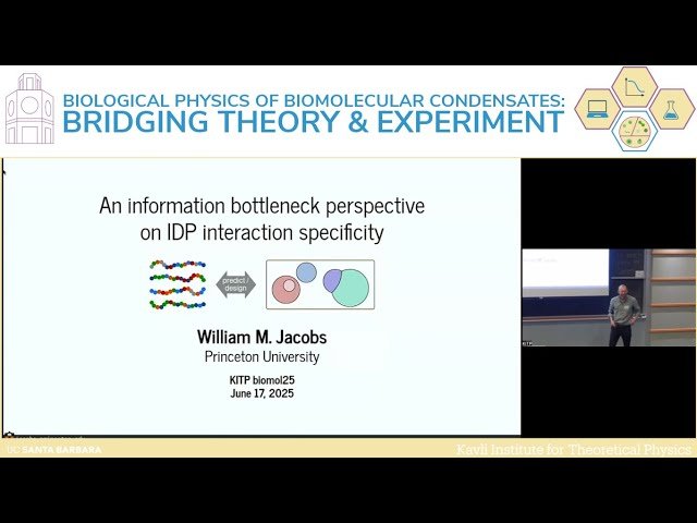An Information Bottleneck Perspective on IDP Interaction Specificity