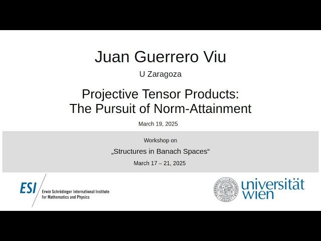 Projective Tensor Products: The Pursuit of Norm-Attainment