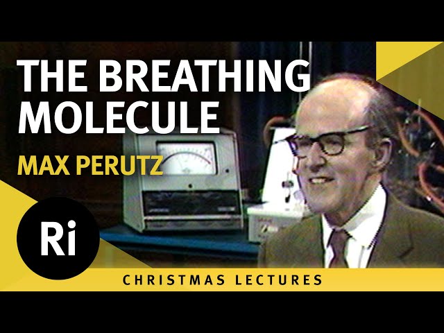 Haemoglobin - The Breathing Molecule - Lecture 5