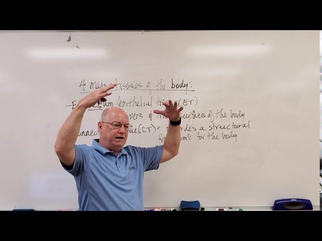 Anatomy and Physiology - Histology and Skin - Test 2 Videos