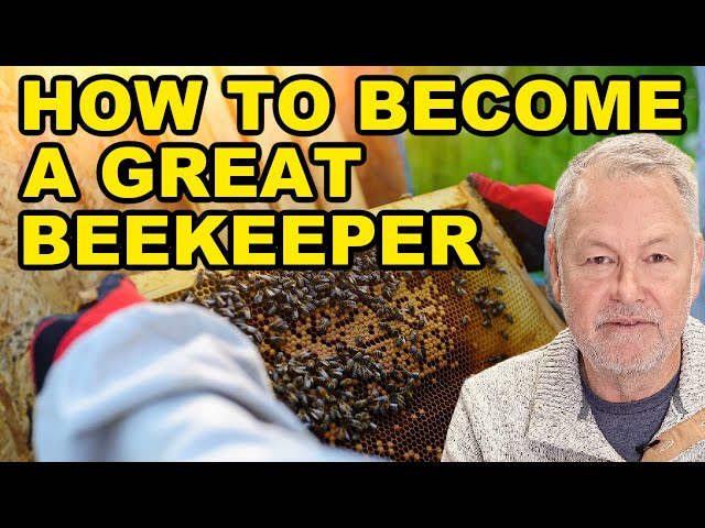 Beekeeping - Why Most Beekeepers Get Stuck at the Beginner Level